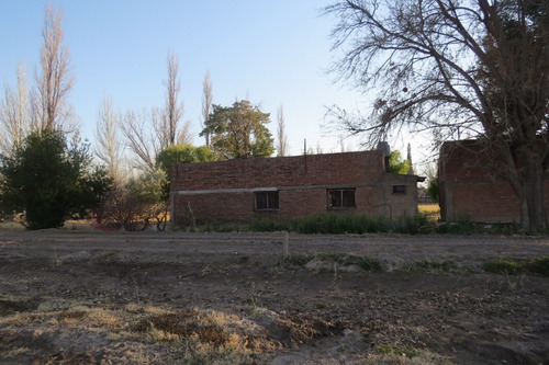 Imagen 9 de 12 de Vendo Finca 25 Hectareas En Colonia Elena San Rafael Mendoza