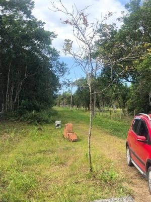 Chácara Com Varanda E 7 Mil Metros Em Itanhaém Sp - 6646 Npc
