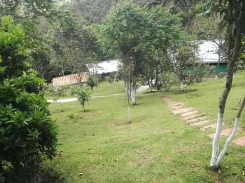 Imagen 12 de 13 de Finca En San Vicente 6.400 Mts 650 Millones