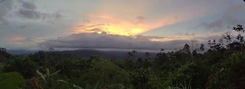 Imagen 5 de 12 de Vendo Cabaña A 15 Minutos De Turrialba Con Árboles Frutales