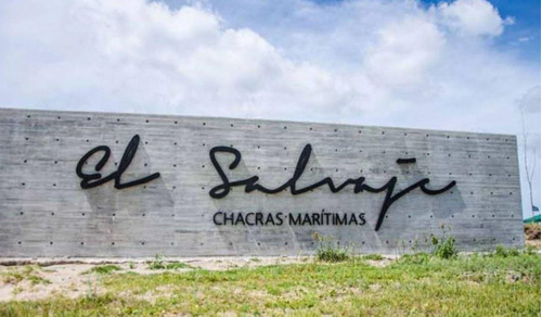 Imagen 3 de 8 de Chacra En Venta 8 Lotes Entre 2600 Y 2800mt2- Villa Gesell