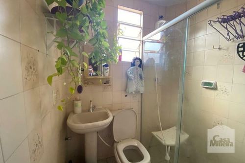 Imagem 8 de 11 de Apartamento À Venda No Santa Efigênia - Código 318790 - 318790