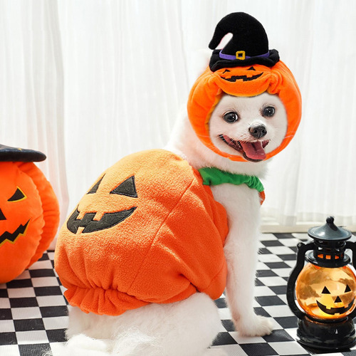 Disfraz De Calabaza Para Cachorro Disfraz De Calabaza Para P
