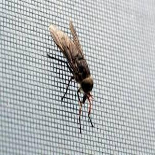Malla Mosquitera Plástica Mosquitero 10mx 0.60m Antimosquito