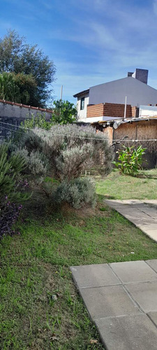 Local Comercial Casa Sobre Av. Donato Álvarez!!! Gran Oportunidad!!!!