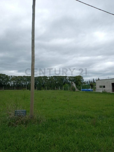Imagen 5 de 9 de Lote En Venta En Barrio La Armonia