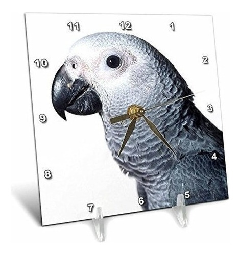 Pajaros  Gris Africano Loro  Relojes De Computadora