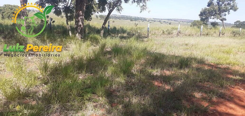 Imagem 1 de 7 de Fazenda À Venda Em Figueirão - Ms - De 1.003 Hectares (pecuária) - 1684