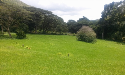 En Venta Finca Ideal Para Ganadería, Cría De Caballos Entre Otras Actividades.