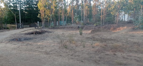Casa Amoblada En Algarrobo Con Amplio Terreno