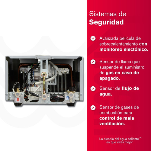 Caldera Cámara Estanca 35lt Gas Propano Mid Efficiency Rheem