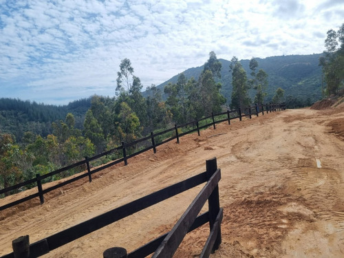 Vendo Parcelas A 20 Kms. Aproximadamente De Peralillo