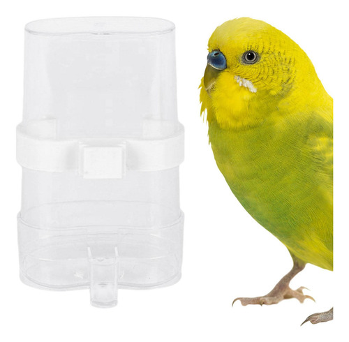 Comedero Para Pájaros, Recipiente Transparente Para Comida,