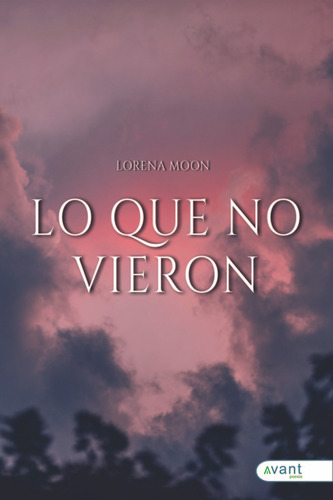 Libro Lo Que No Vieron - Moon, Lorena