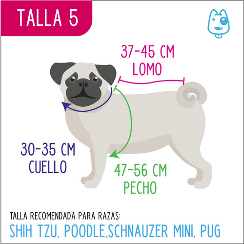 Colección Estilo Para Perrito Talla 5