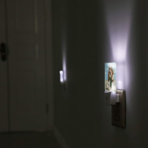 Basset Hound - Luz Nocturna Para Perro Con Luz Nocturna Led