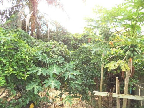Imagem 21 de 21 de Chácara À Venda, 2000 M² Por R$ 550.000,00 - Chácaras Fernão Dias - Atibaia/sp - Ch0084