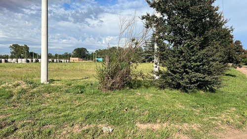 Venta De Terrenos | Calle Dorrego | Bragado
