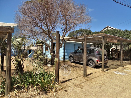 Martín Pescador - 1 En Punta Del Diablo