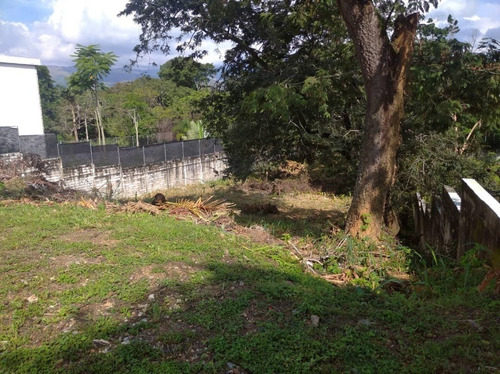 Imagen 4 de 8 de Rosmeli Vende Terreno En Guataparo Country Club