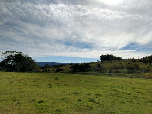 Chácara 15.000 M² - Passo Grande - Glorinha - Rs - 1514 - 32420035