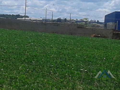 Imagem 6 de 8 de Terreno À Venda, 2837 M² Por R$ 800.000,00 - Estância Delaville - Londrina/pr - Te0063