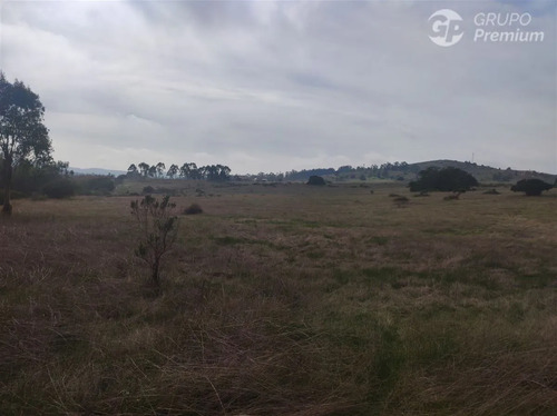 Parcela En Venta 17 Há En Quillaycillo - El Tabo