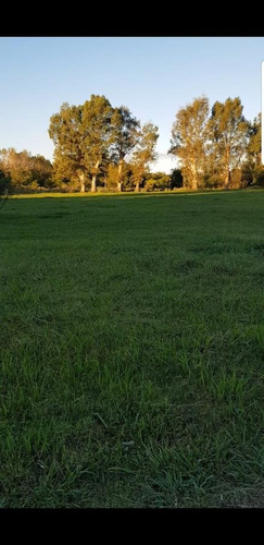 Imagen 4 de 5 de Terreno En Venta En San Vicente