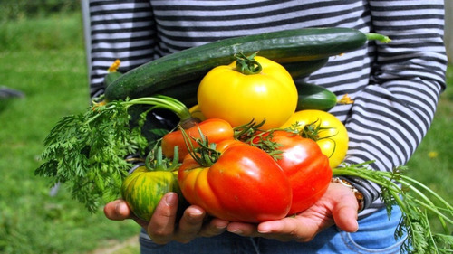 Imagen 10 de 10 de Dix 10 Fertilizante Organico 1 Kg Para Crecimiento Nitrogeno