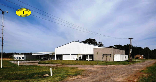 Imagen 2 de 10 de 3117ga- 2795 M2 De Galpones Con 1517 M2 De Frio Ideal Para