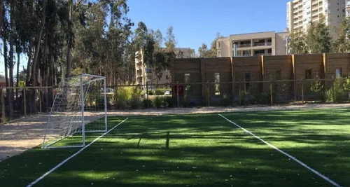 Lindo Y Soleado, 2d Amplios Tipo Mariposa, Mirasol Algarrobo