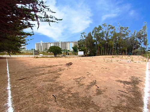 Oportunidad Única De Inversion Desde 600 M² (177693)