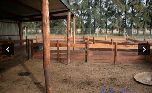 Imagen 15 de 23 de Hermoso Campo De 10 Ha En Cardales - Exaltacion De La Cruz