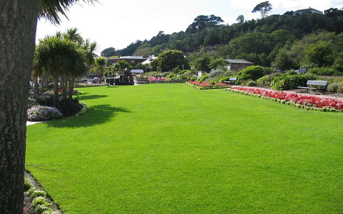 02 Kg De Grama Esmeralda Para 2000m² 100% Puras Frete Grátis