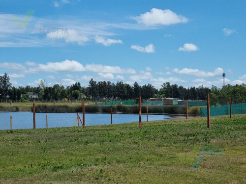 Imagen 8 de 24 de Venta De Lote A Laguna - Villanueva