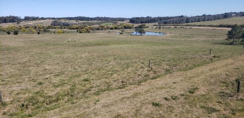 Imagen 14 de 30 de Chacra En Venta, Fraccion De 20 Has En Jose Ignacio (ref: Atm-6766)
