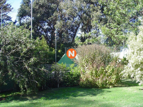 Excelente Negocio, Precio Rebajado, Venta 4.000 Metros De Tierra.- Ref: 216273