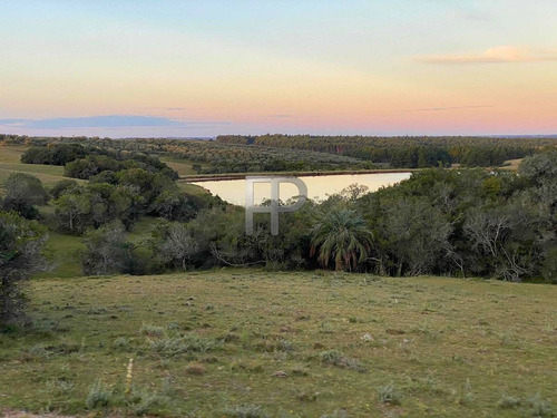Imagen 4 de 13 de Campo En Venta Garzon 8 Has #1698