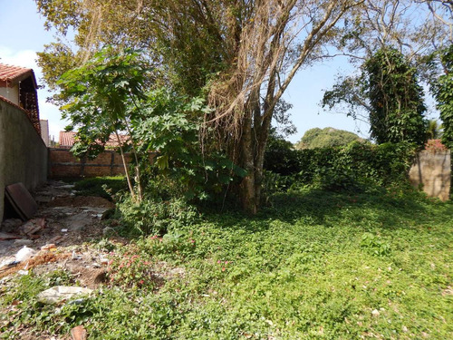 Imagem 4 de 8 de Terreno Bairro Convento Velho A Venda Na Praia De Peruíbe