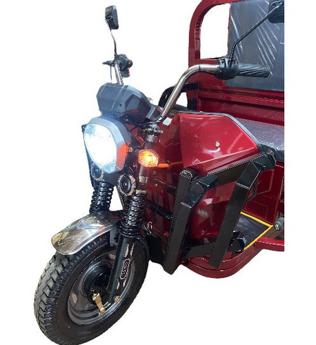 Imagen 13 de 17 de Pegaso Bike /moto Carga Torito Triciclo Electrico Homologado