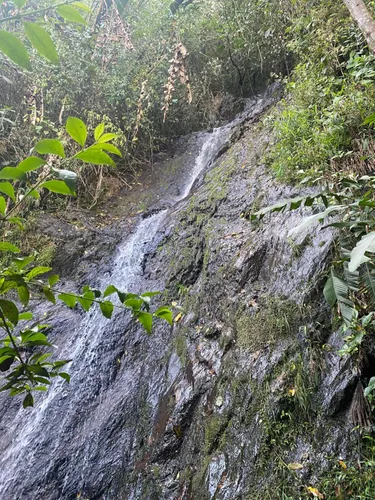 Finca En Venta En Vereda La Chorrera. Cod V12492