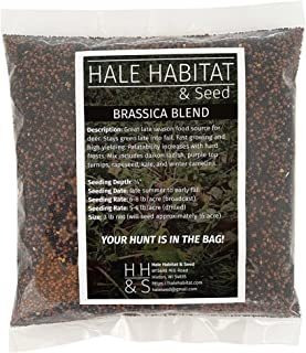 Hale Habitat & ; Seed Mezcla De Semillas De Parcela De Alime