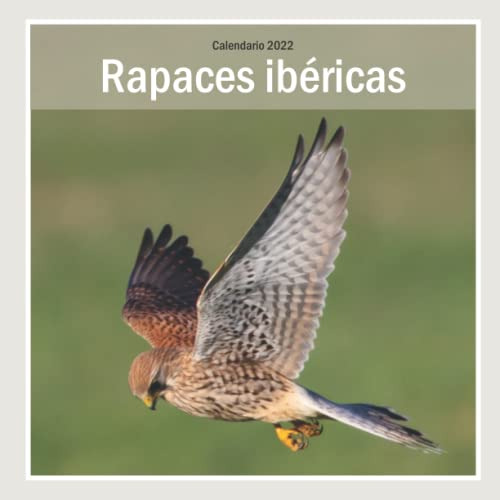 Aves Rapaces Ibericas - Calendario 2022