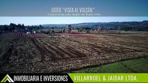 Sector 3 Esquinas De Cato, Región De Ñuble.