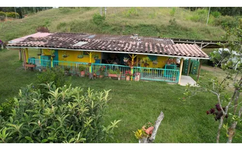 Finca De Producción En Venta En San Vicente, Antioquia