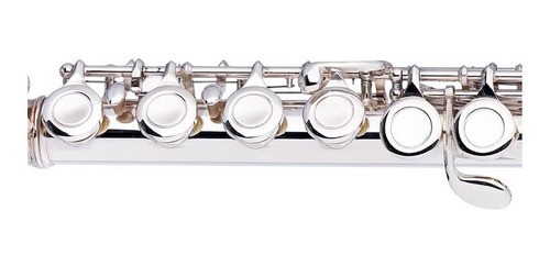 Flauta Traversa Do C Stagg Wsfl111 16 Llaves + Estuche