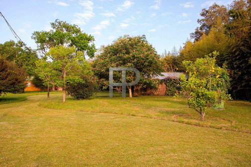 Imagen 14 de 16 de Chacra En Venta Punta Ballena 3 Dormitorios, 4 Hectáreas