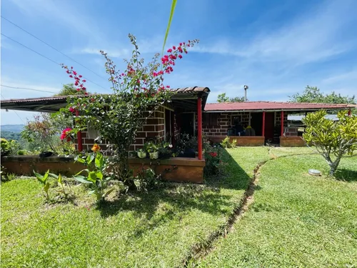 Se Vende Finca Productiva En San Roque, Antioquia.