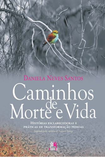 Caminhos de morte e vida, de Santos, Daniela Baptista Neves. Editora Edições Besourobox Ltda, capa mole em português, 2012