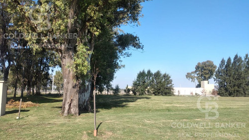 Lote En Lagos De San Eliseo - Canning